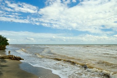 doğa çamur deniz manzarası. gökyüzü ve plaj