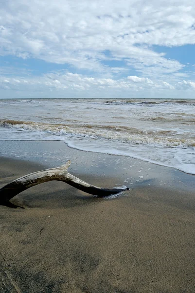 Doğa Çamur Deniz Manzarası Gökyüzü Plaj — Stok fotoğraf