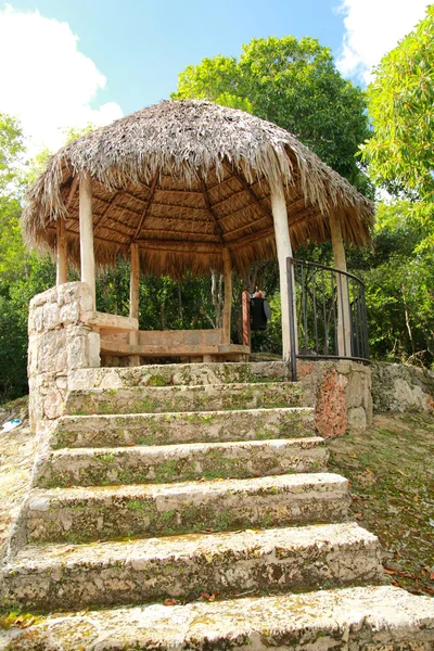 cobertizo de madera en el campo, con techo de paja — Foto de stock