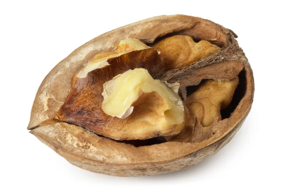 Ореховая половина — стоковое фото