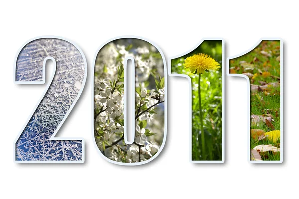 2011 nytt år — Stockfoto