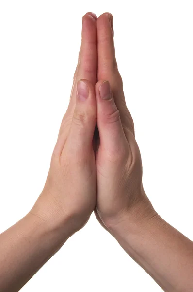 stock image Pray hands