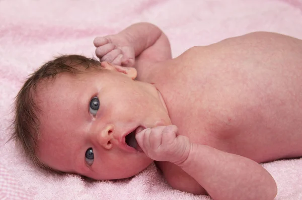 stock image Newborn baby