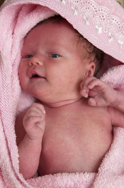 Nyfödd baby Stockbild