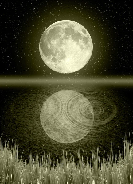 夜晚的天空中的满月反映在水中 — 图库照片
