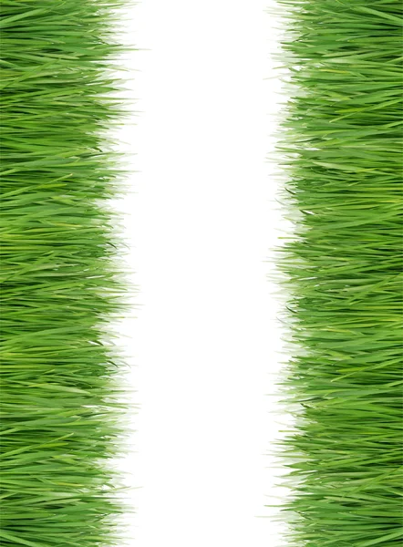 Hierba verde y fresca — Foto de Stock