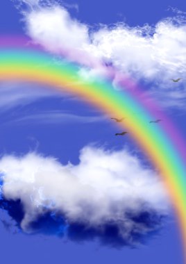 Rainbow in clouds and birds clipart