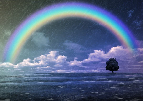 Rain and rainbow — Stock Photo, Image