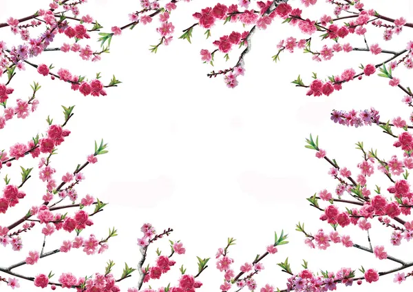 Ramo de cereja com flores rosa — Fotografia de Stock