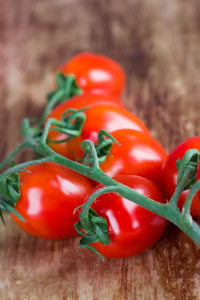 Tomaten bos — Stockfoto