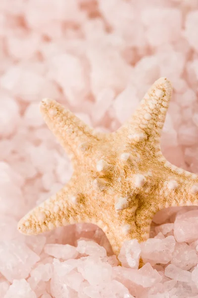 Starfish in the sea salt — Stock Photo, Image
