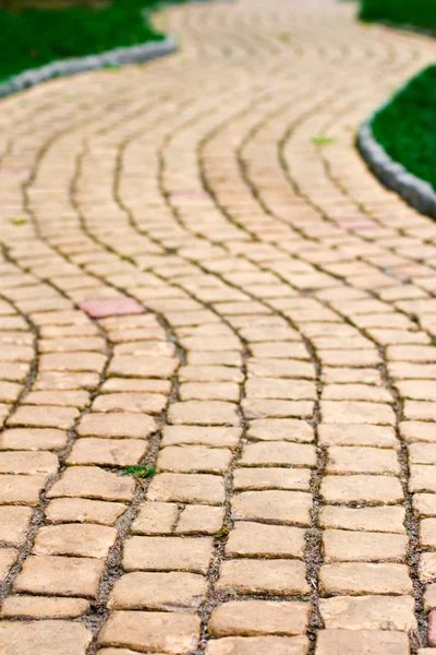 Path and green grass — Stock Photo, Image