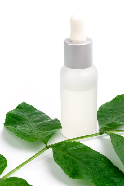 Produkty kosmetyczne z zielonych liści — Zdjęcie stockowe