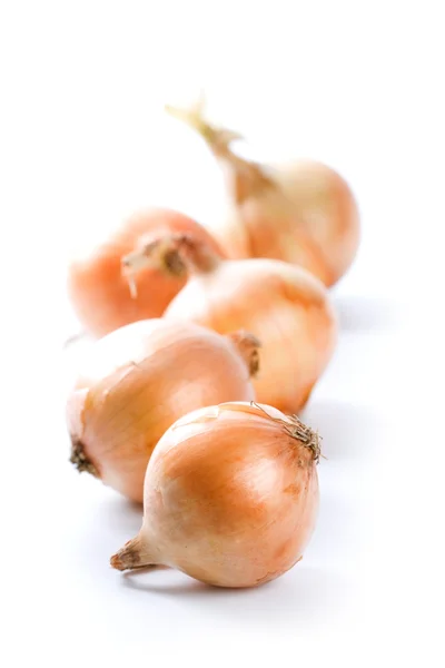 Cinco cebolas maduras — Fotografia de Stock