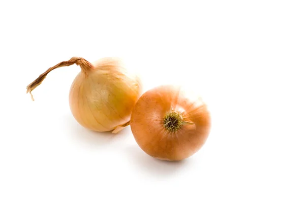 Duas cebolas frescas — Fotografia de Stock