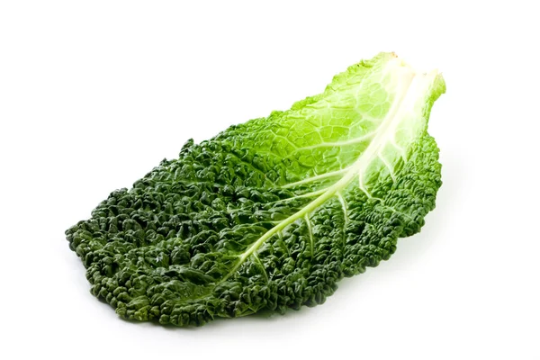 Fresh savoy cabbage leaf — Stock Photo, Image
