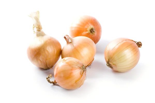 Five fresh onions — Stock Photo, Image