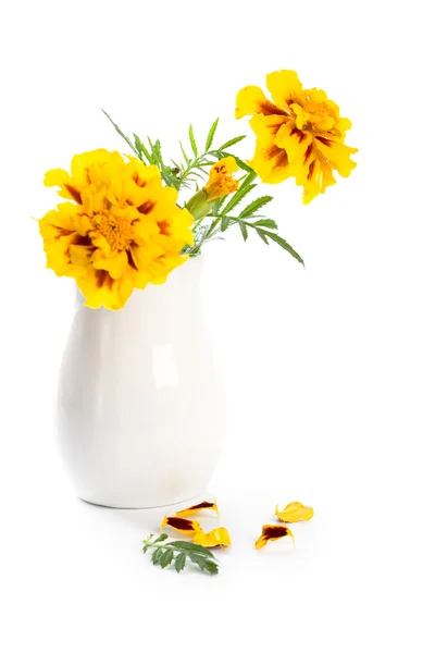 Körömvirág virágok vázában — Stock Fotó