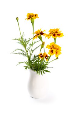 Marigold flowers in vase clipart