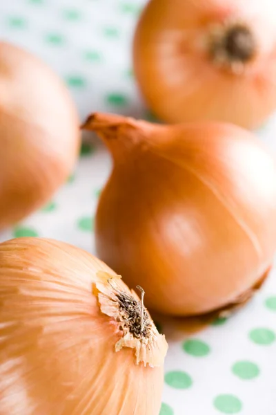 Ripe onions — Stock Photo, Image