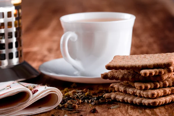 French press, cup of fresh herbal tea and some cookies — Stock Photo, Image