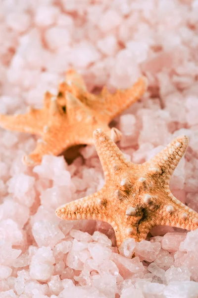 Iki starfishes ve deniz tuzu — Stok fotoğraf