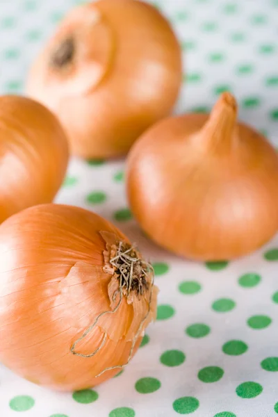 Closeup Ripe Onions Textile Background — Stock Photo, Image