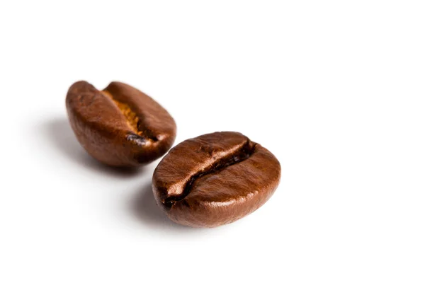 Zwei Kaffeebohnen Stockbild