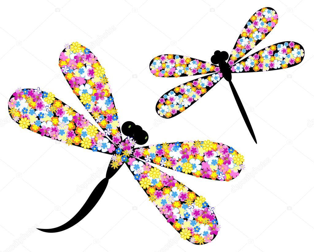 Dragonfly in flowers — Stock Vector © Oksana #4882205