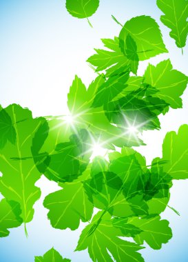 Green background clipart