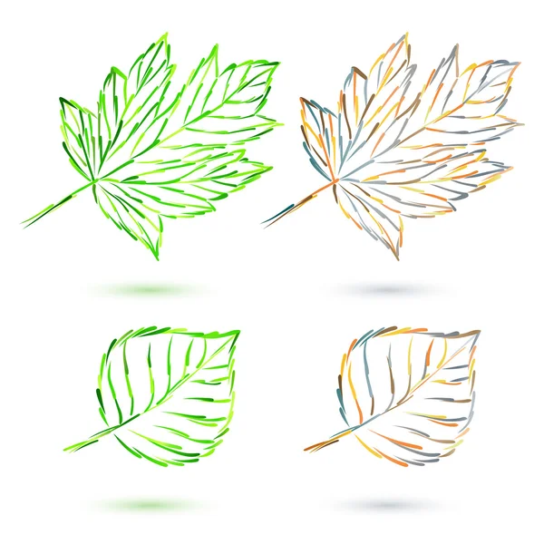 Set autumn leaves — Stock Vector