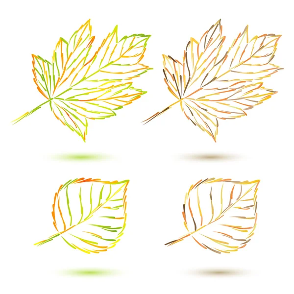 Set őszi levelek — Stock Vector