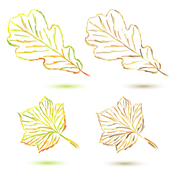 Definir folhas de outono — Vetor de Stock