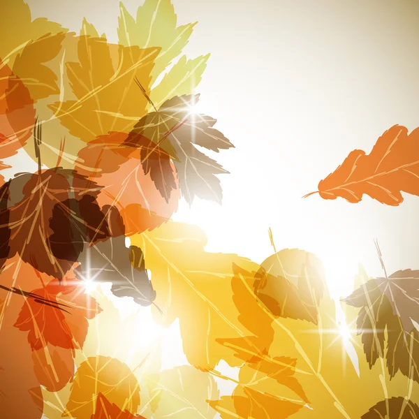 Höstens bakgrund — Stock vektor