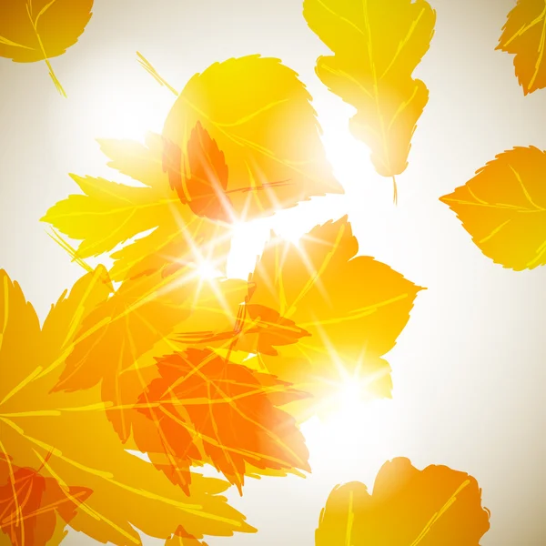 Autumn background — Stock Vector