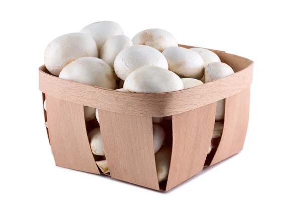 Mushrooms in box isolated on white background. — Stock Photo, Image