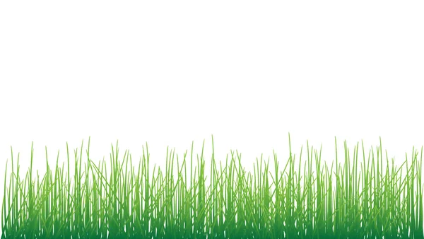 草上白色背景矢量格式 — 图库矢量图片
