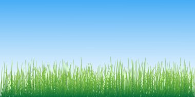 Grass on sky background vector illustration. clipart