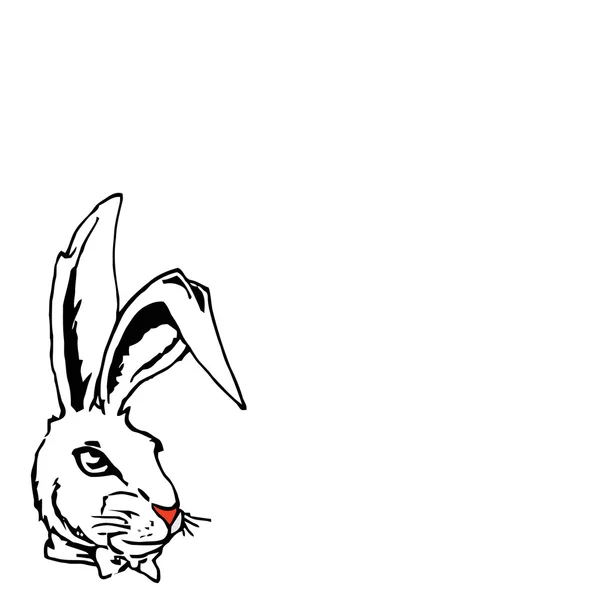 Rabbit.Vector illustrazione — Vettoriale Stock