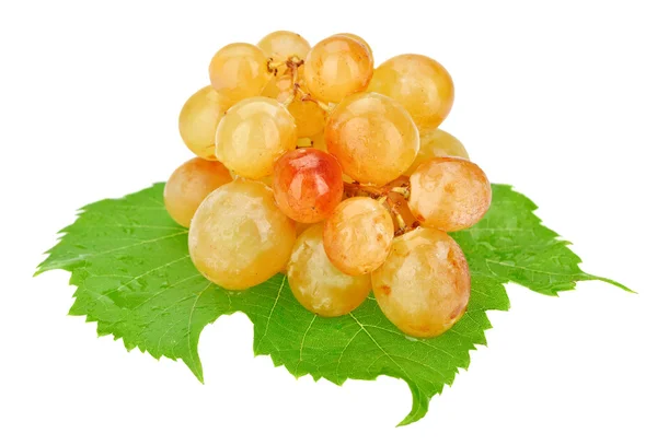 Grappolo di uva bianca con gocce d'acqua isolate su bianco — Foto Stock
