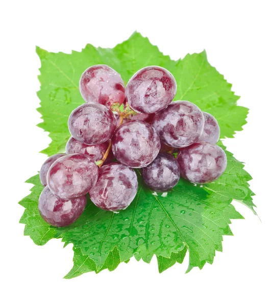 Grappolo di uva rossa con gocce d'acqua isolate su bianco — Foto Stock