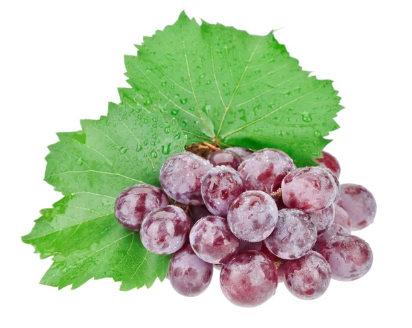 Ramo de uvas rojas con gotas de agua aisladas en blanco — Foto de Stock