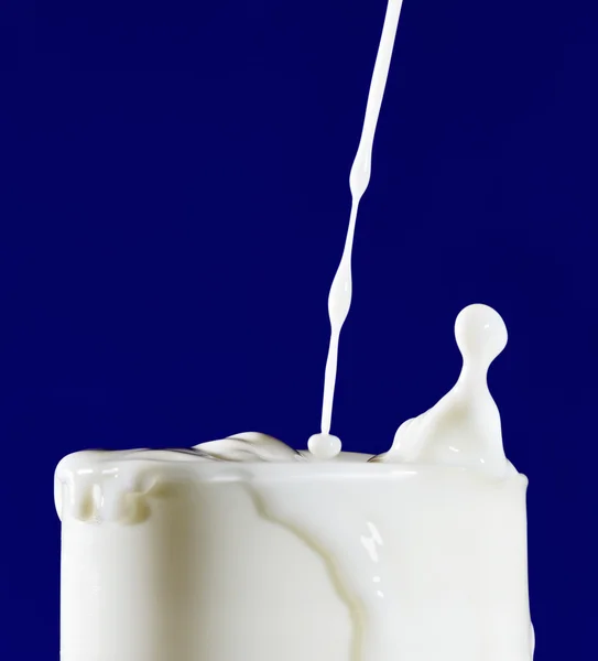 Glass of milk with splashing drops on deep blue — Stock Photo, Image