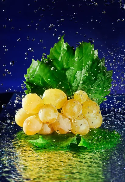 Букет білого винограду з зеленим листям і зупиненою рухомою водою — стокове фото