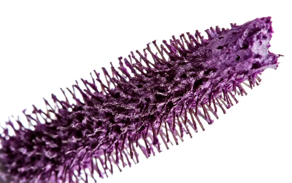 Pincel rímel púrpura macro aislado en blanco — Foto de Stock