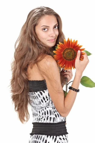 Young beautiful girl with long hairs holding sunflower on white — Stock Photo, Image