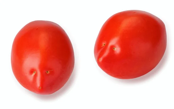Μοιάζει αστείο ντομάτα με ένα πρόσωπο — Φωτογραφία Αρχείου