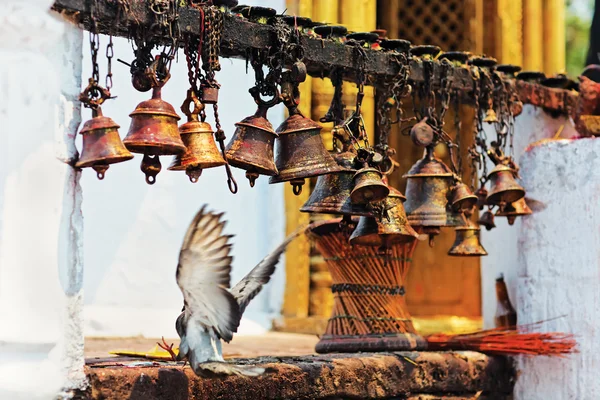 Many metal sacrificial bells hanging on chain and landing dove, — Stock Photo, Image