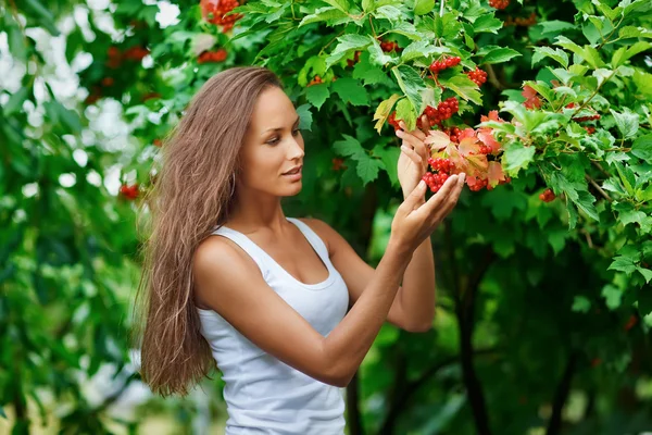 Beautiful woman picking guelder rose berries — Stock Photo, Image