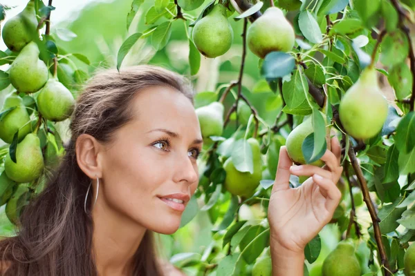 Hermosa mujer recogiendo la pera en el jardín —  Fotos de Stock